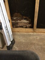 IMG_0114.jpeg
