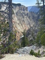 IMG_9839.jpeg