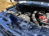 IMG-6889.jpg