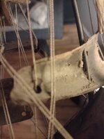IMG_20250823_021734798.jpg