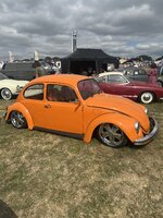 IMG_1110.jpeg