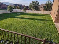 satmorninglawn.jpg