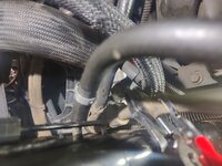 hose7.jpg