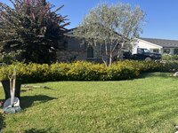 IMG_6129.jpeg IMG_6129.jpeg