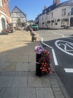 IMG_1155.jpeg IMG_1155.jpeg