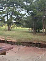 IMG_1410.jpeg IMG_1410.jpeg