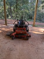 IMG_1431.jpeg