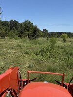 IMG_1426.jpeg IMG_1426.jpeg
