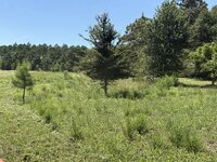 IMG_1428.jpeg IMG_1428.jpeg