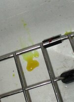 Aloe d latex.jpg