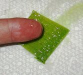 Aloe e cut 2.jpg