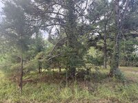 IMG_1424.jpeg IMG_1424.jpeg