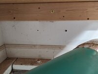 20250828_090458.jpg