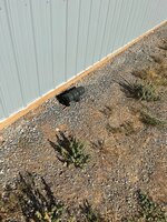 IMG_1538.jpg