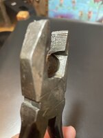 IMG_8021.jpeg