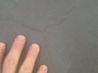 spider cracks.jpg