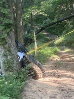 IMG_7120.jpg