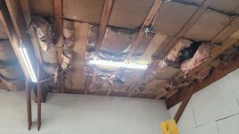 20250903_172950.jpg