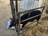 IMG_4457.jpeg IMG_4457.jpeg