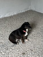 IMG_8856.jpeg IMG_8856.jpeg