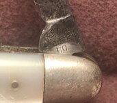 IMG_7696.jpeg