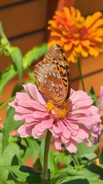 PXL_20250808_171257426_exported_0.jpg