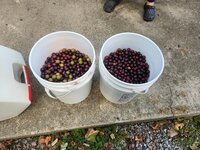 20250908_175545.jpg 20250908_175545.jpg