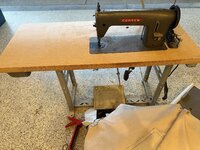 IMG_2886.jpeg