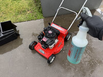 IMG-7180.jpg