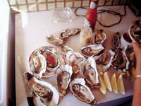 Pacfic Oysters.jpg Pacfic Oysters.jpg