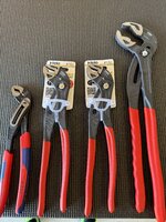 IMG_8495.jpeg