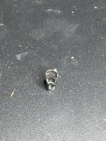 IMG_1002.jpeg IMG_1002.jpeg