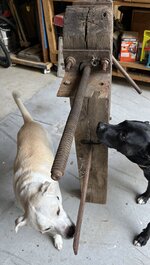 IMG_7044.jpeg