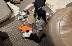 IMG-7291.jpg