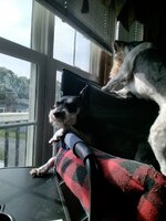 IMG_20250621_165924.jpg