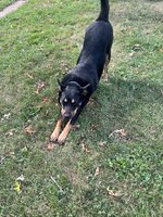 IMG_3387.jpeg