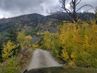 wy24.jpg