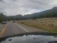 wy37.jpg