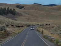 wy38.jpg