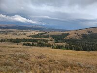 wy48.jpg
