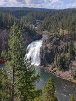 wy51.jpg