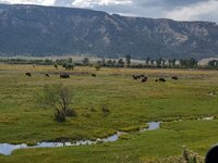 wy53.jpg
