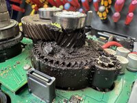 IMG_6264.jpeg