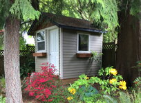 Shed & garden.jpeg Shed & garden.jpeg
