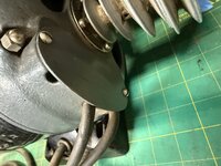 IMG_7917.jpeg