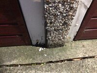 IMG_0573.jpeg