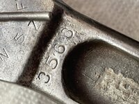 IMG_9179.jpeg