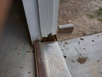 20250917_130930.jpg 20250917_130930.jpg