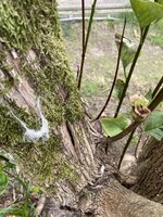 IMG_7741.jpeg
