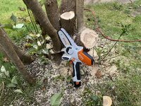 IMG_7749.jpeg